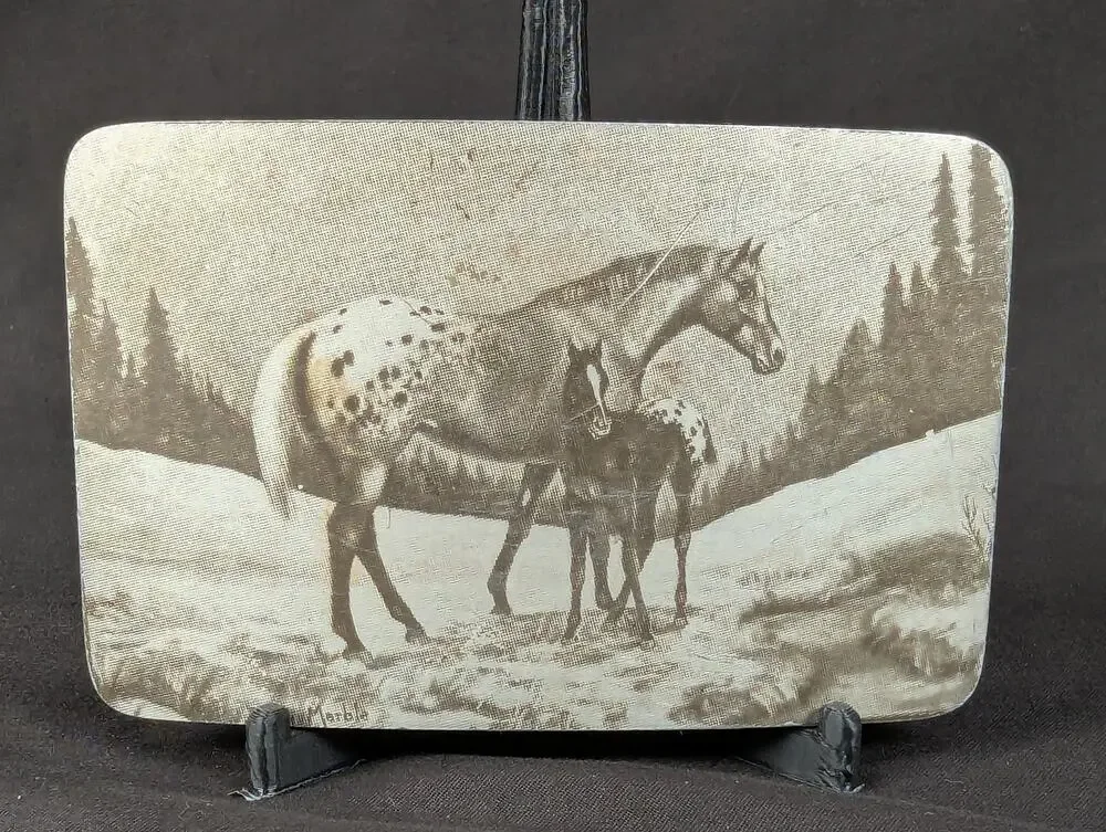Vintage Perma-Tech Belt Buckle Appaloosa Mare and Foal Etched Aluminum 3.5 Inch